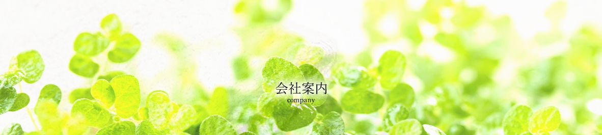 会社案内 - company